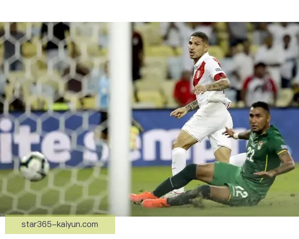 秘鲁队比赛策略